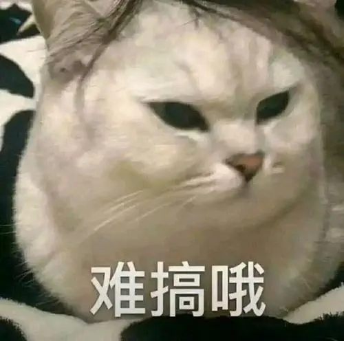 front2_0_FsqUizXszT6-KFJgge8xZgFxhBCE.1623309299.png