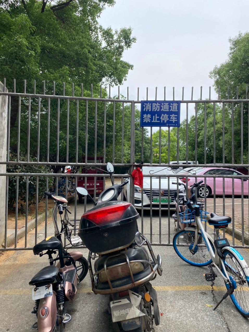 front1_0_FtIi0HuPOM7CwmFv-XFQY20ycxPm.1623316803.jpg