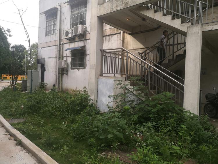 齐山小区(含齐山新村,齐山花园)环境改造工程大概