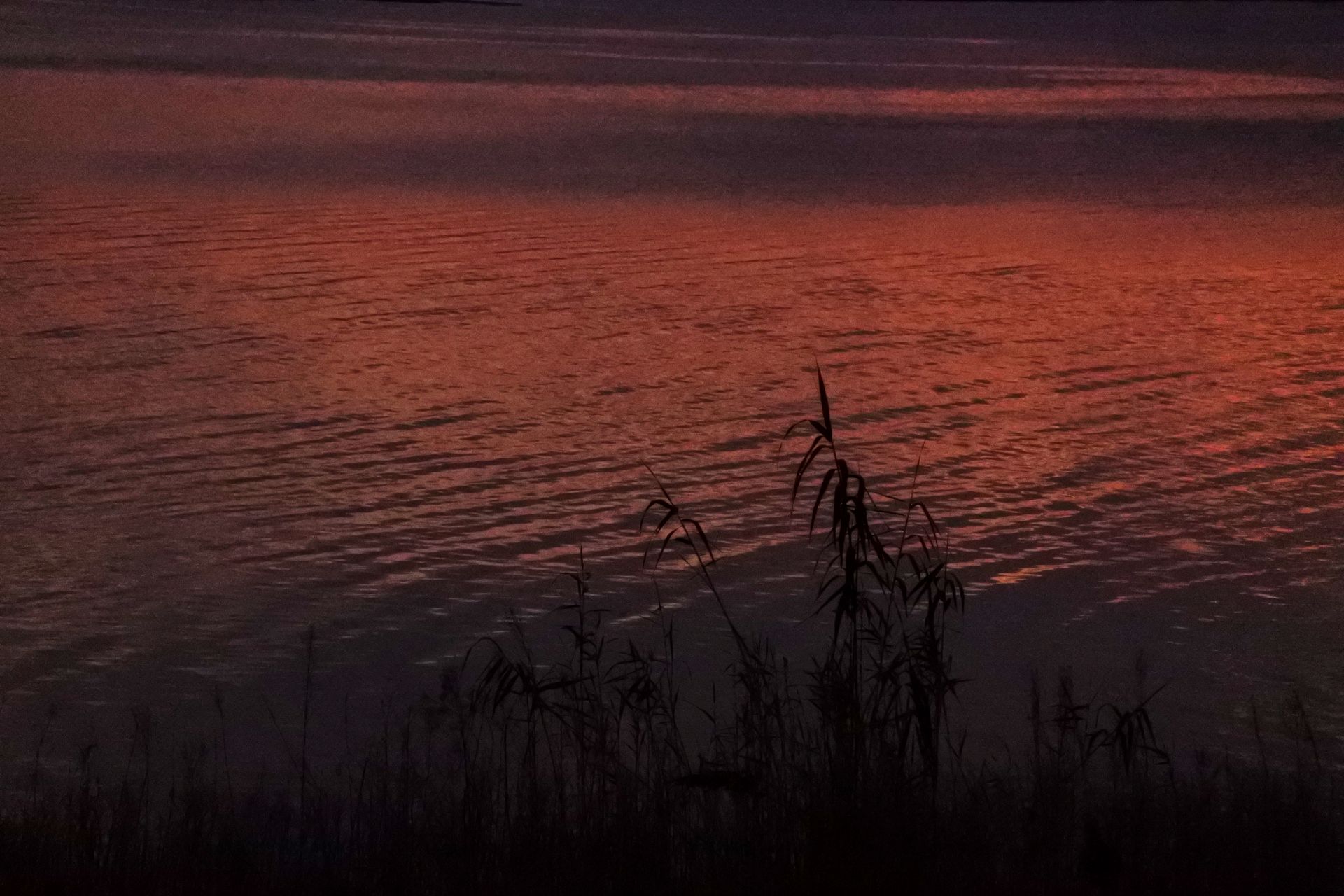 front2_0_FgCuew_97S2-oDuEqjCXKz_QjdFW.1624540834.jpg