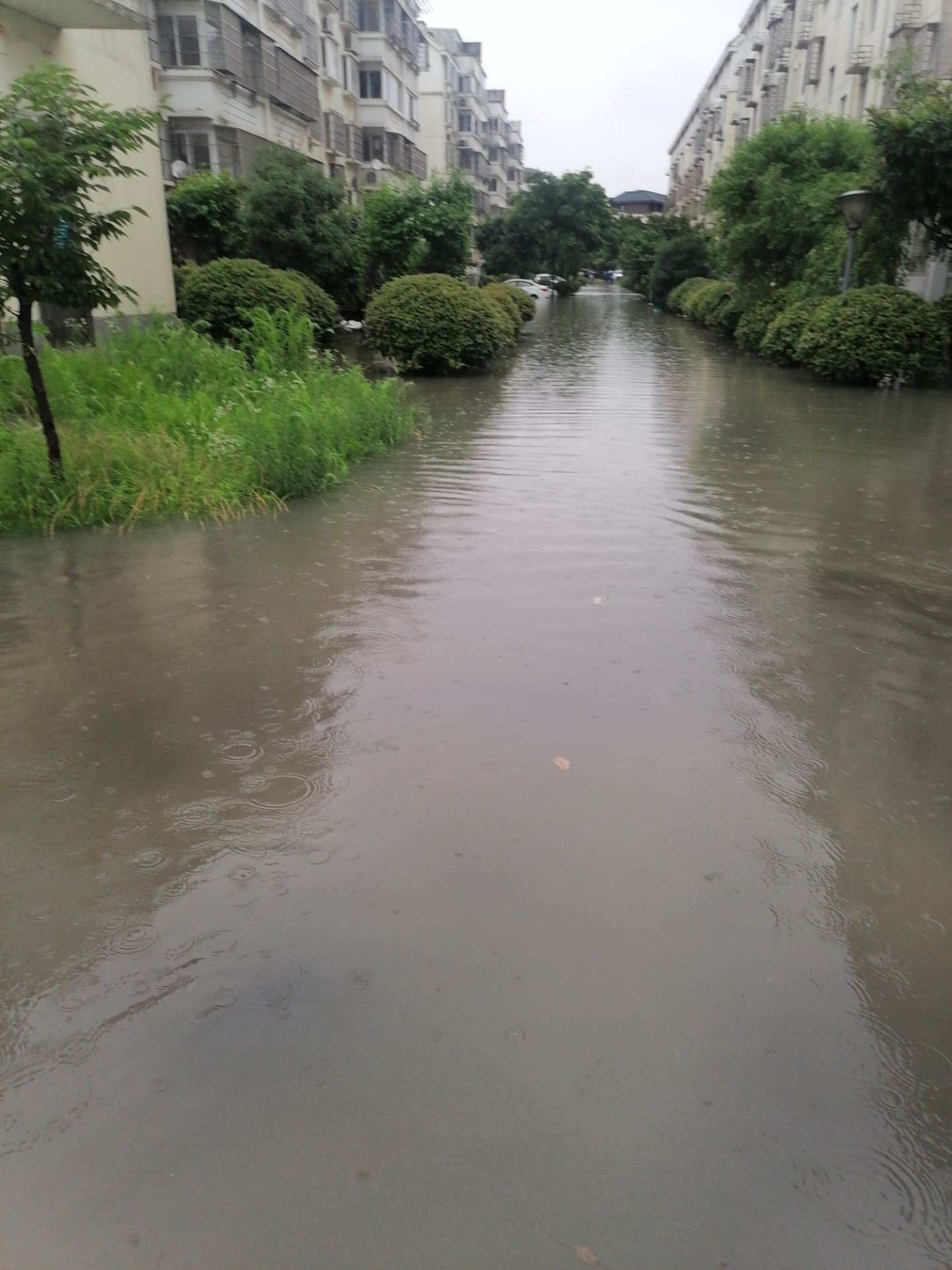 front2_0_FkafEy77VWm1OtzREKop8yZvjLCh.1625212454.jpg