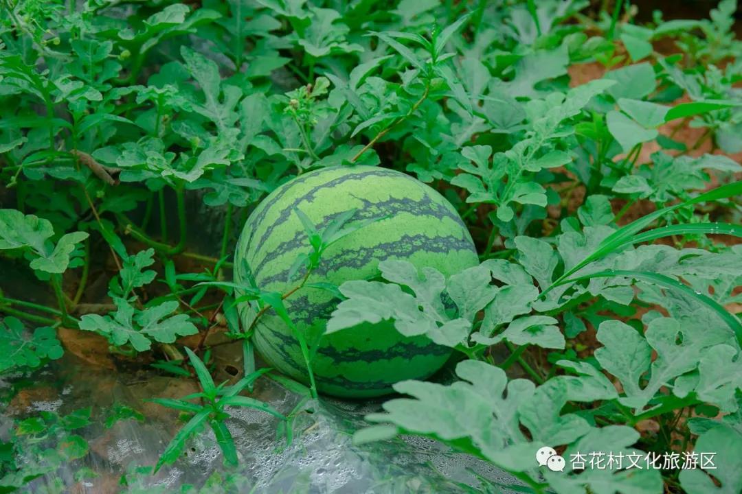 微信图片_20210702161153.jpg