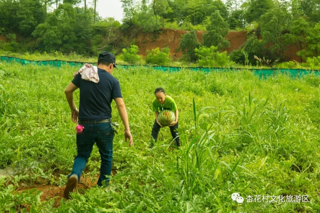 微信图片_20210702161203.jpg