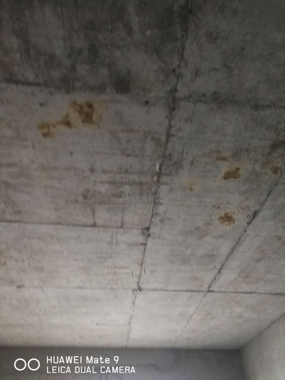 20210703_306501_1625306544894.jpg