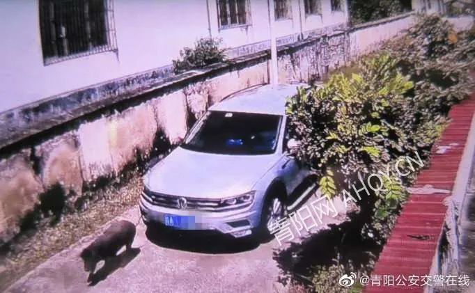 微信图片_20210709173139.jpg