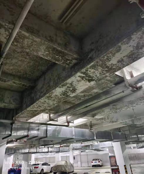 已经发霉的地下室