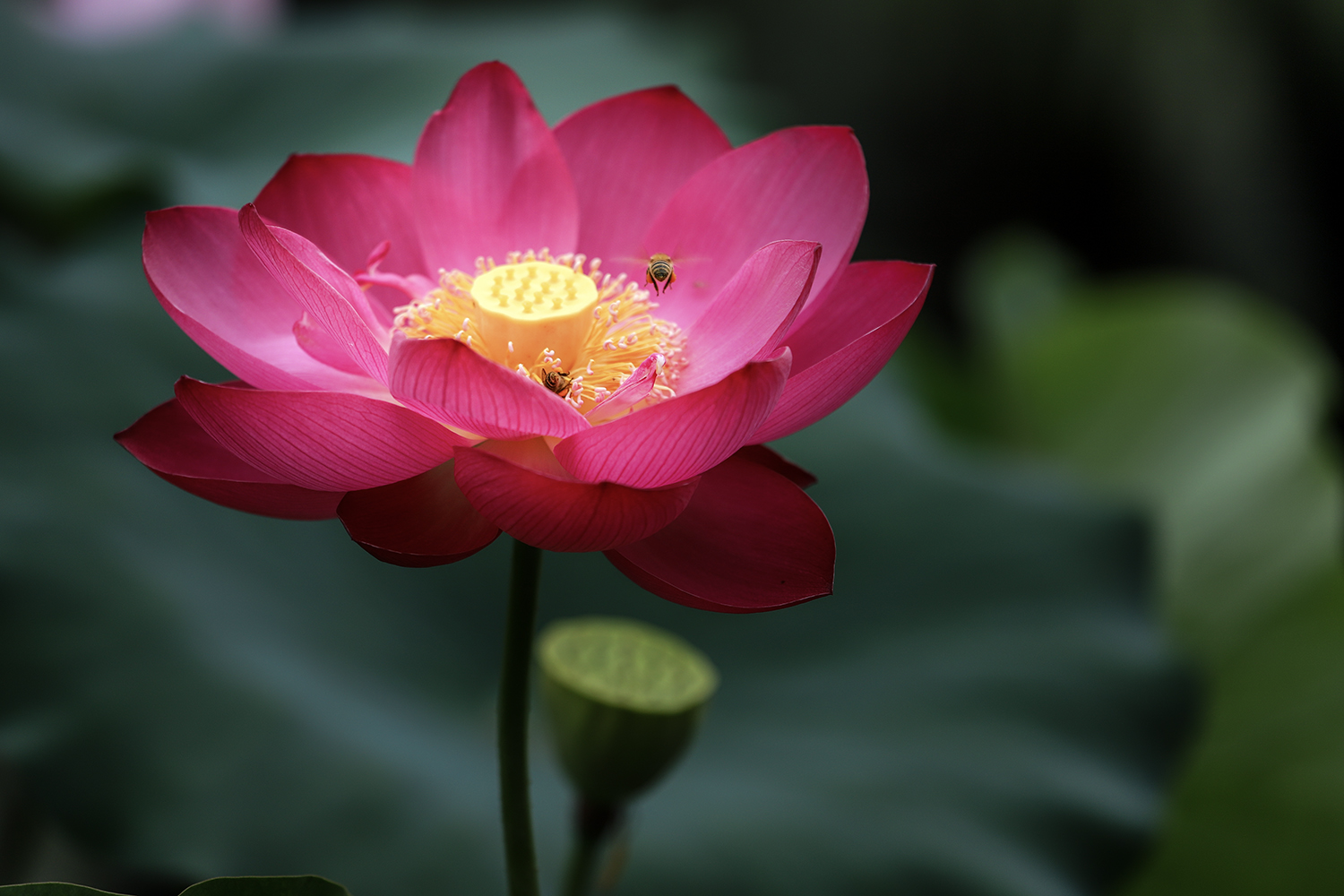 IMG_7909-2-1.jpg