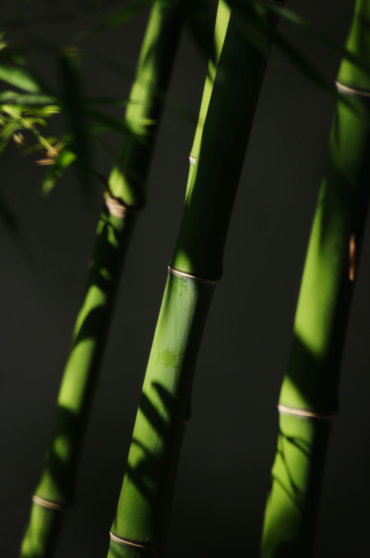 front2_0_FgWXF6e_pzVdPRg5yHChIfYD5k0R.1627608757.jpg