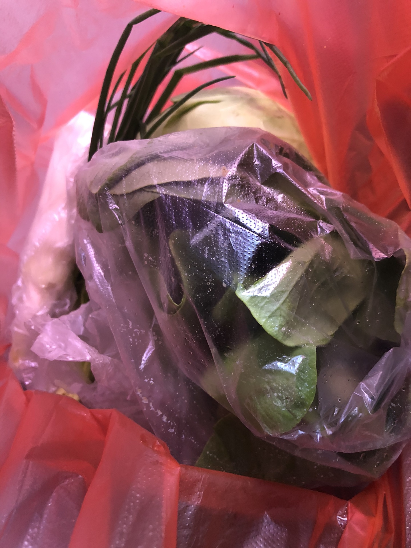 front1_0_Fk-HOLXVj88NX3qj025VnloTxfZ2.1628038427.jpg