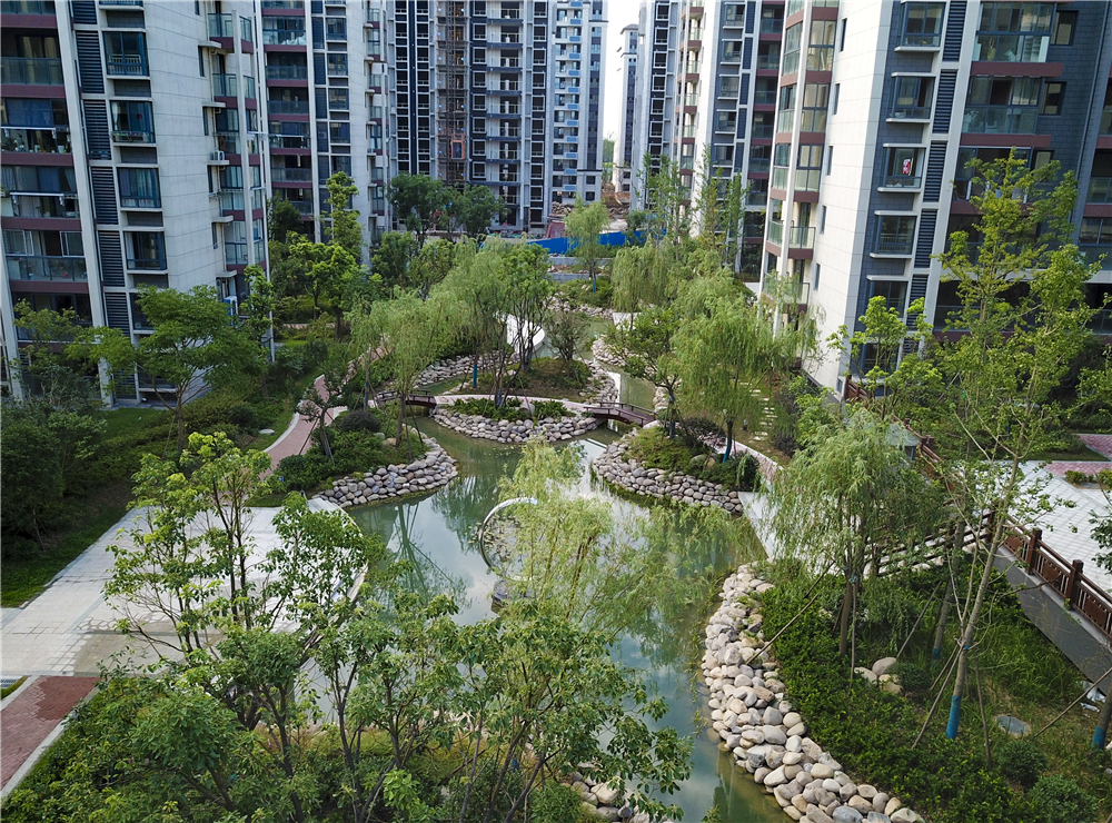 图片27.jpg