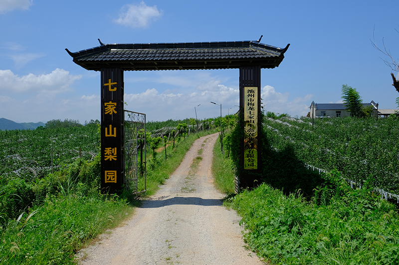 DSCF2846.jpg
