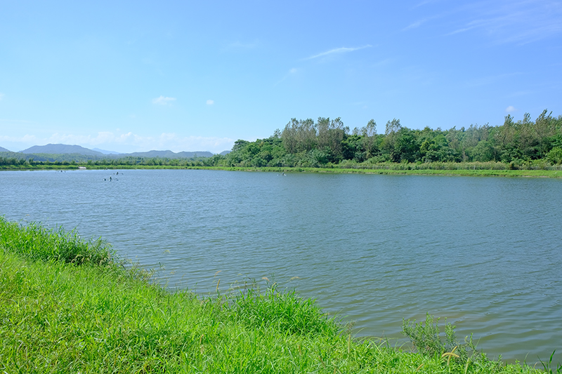 DSCF2676.jpg