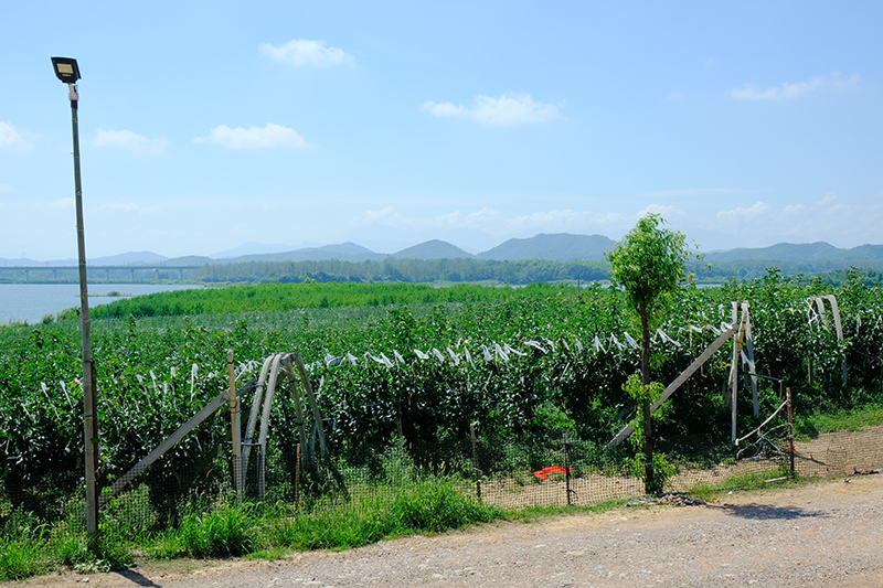 DSCF2753.jpg