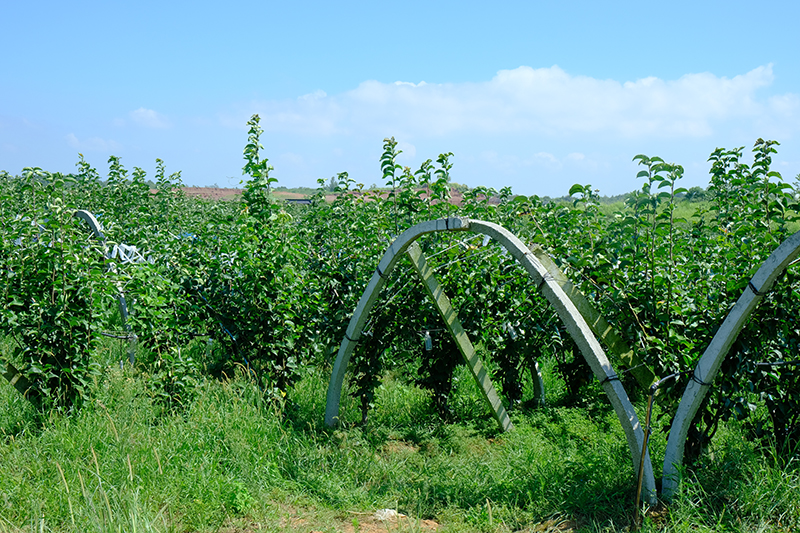 DSCF2751.jpg