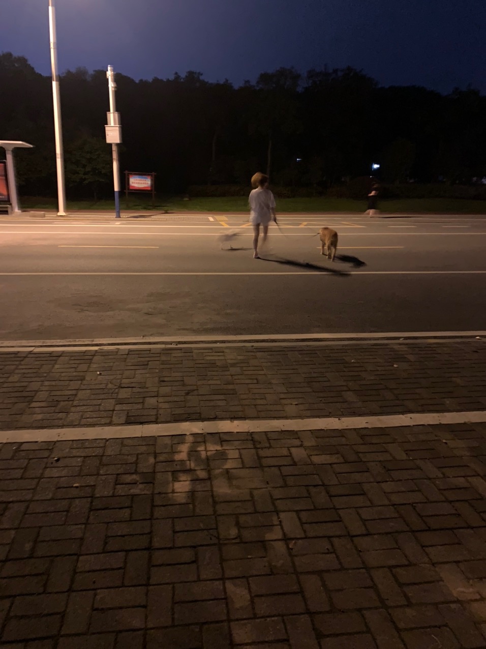 front1_0_FkUPr7GU_zVyi6z3lTvyLPhi-Xz7.1629205376.jpg