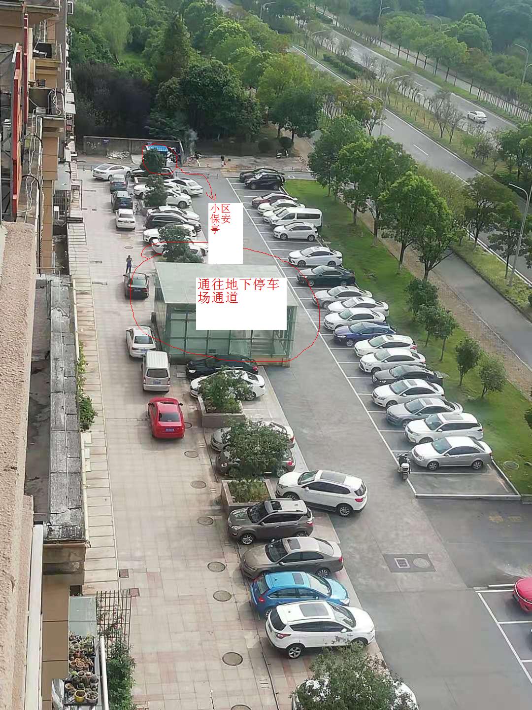 11111.JPG