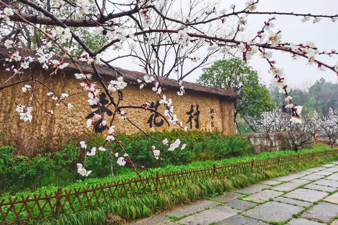微信图片_20210301114917.jpg