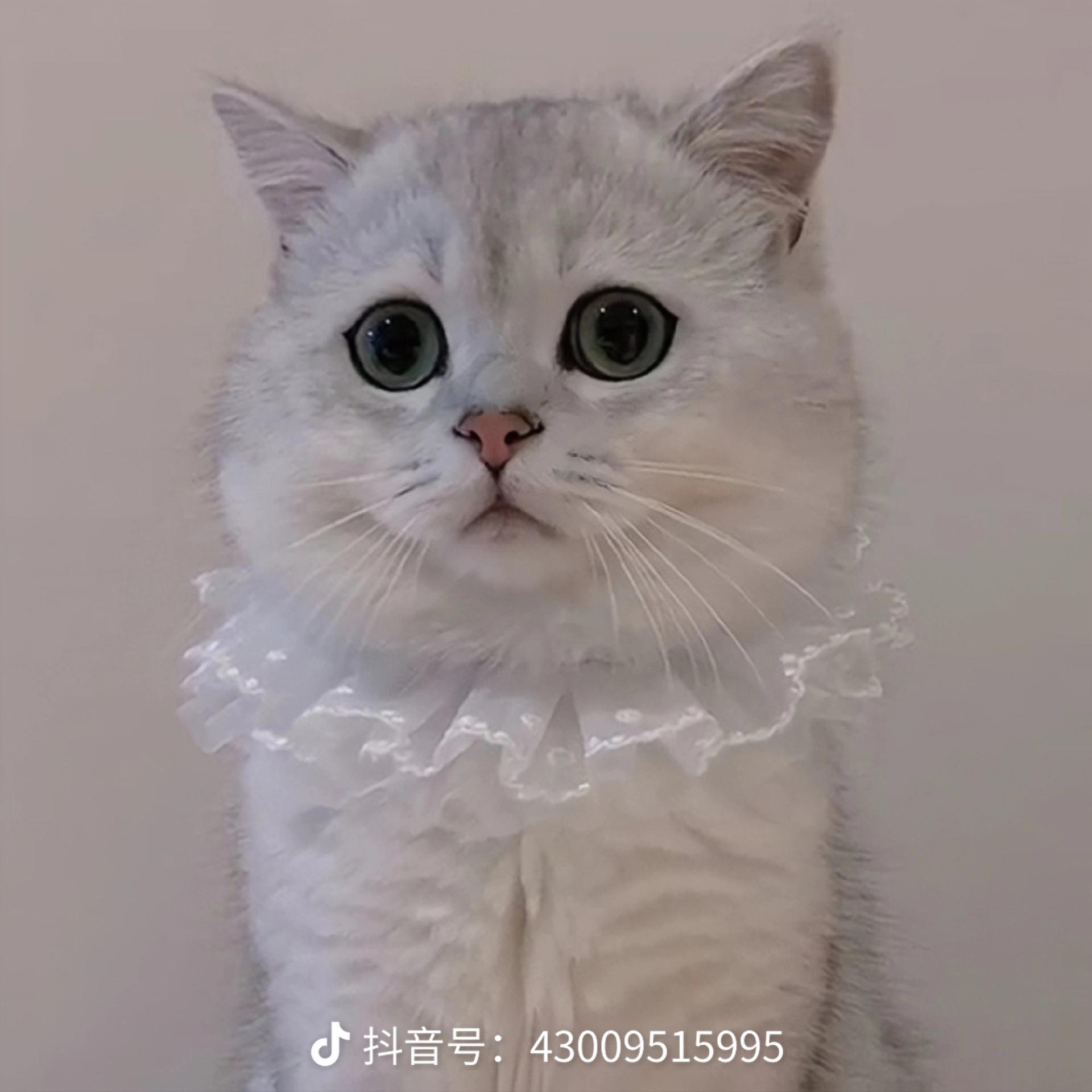 front1_0_FutAY9K96yEu7R9Lyc2k3b0FCy9q.1630212745.jpg