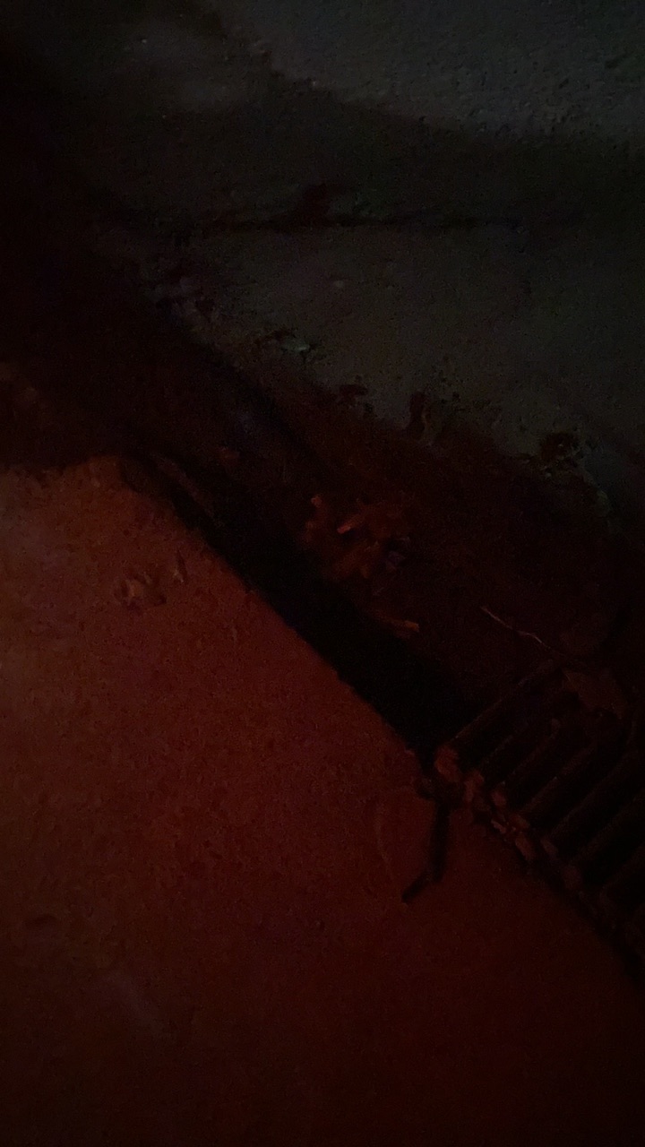 front1_0_FgB0xGaUzrLrZyRRPACdqG4mHZBZ.jpg