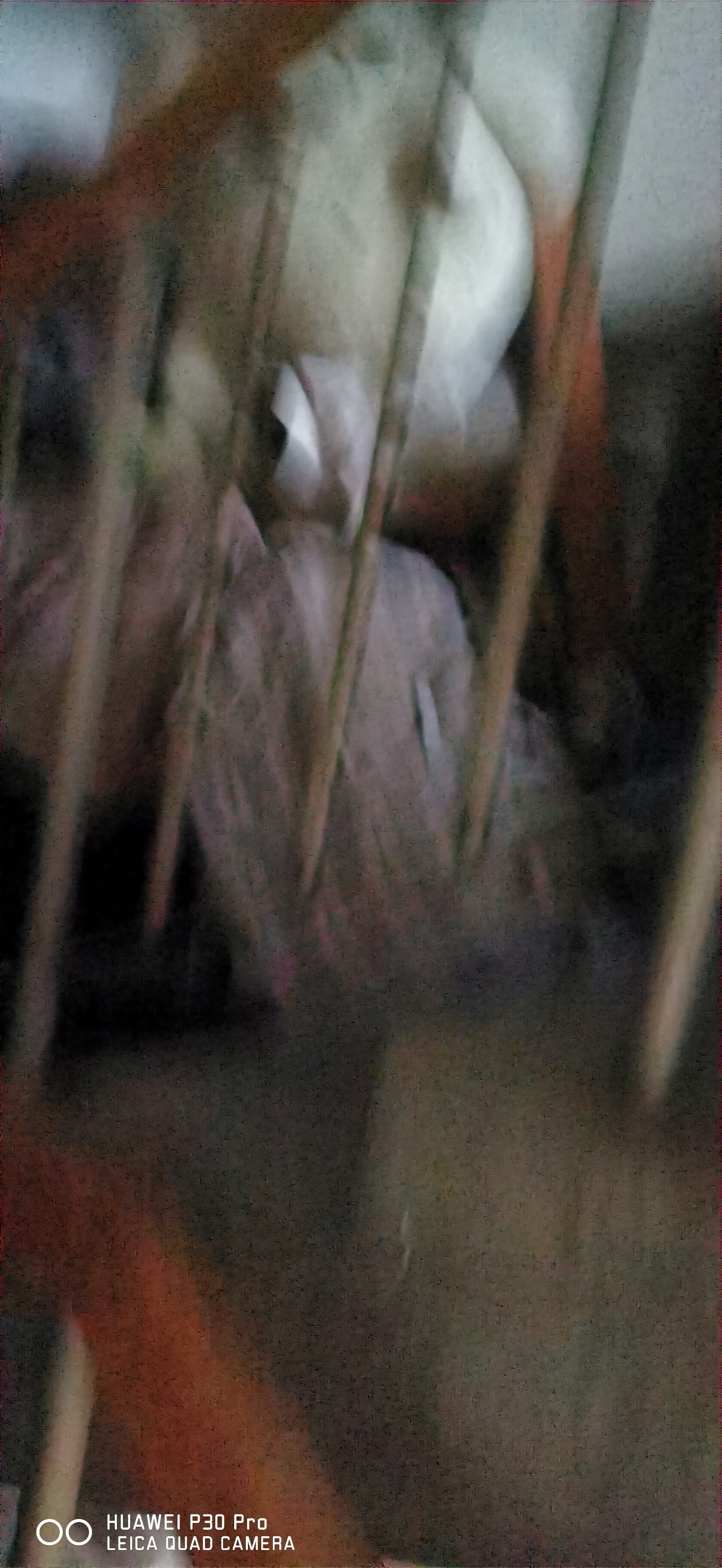front2_0_FnIWHc0kMpxKrkfpO-hguoqmOtrK.1631011277.jpg