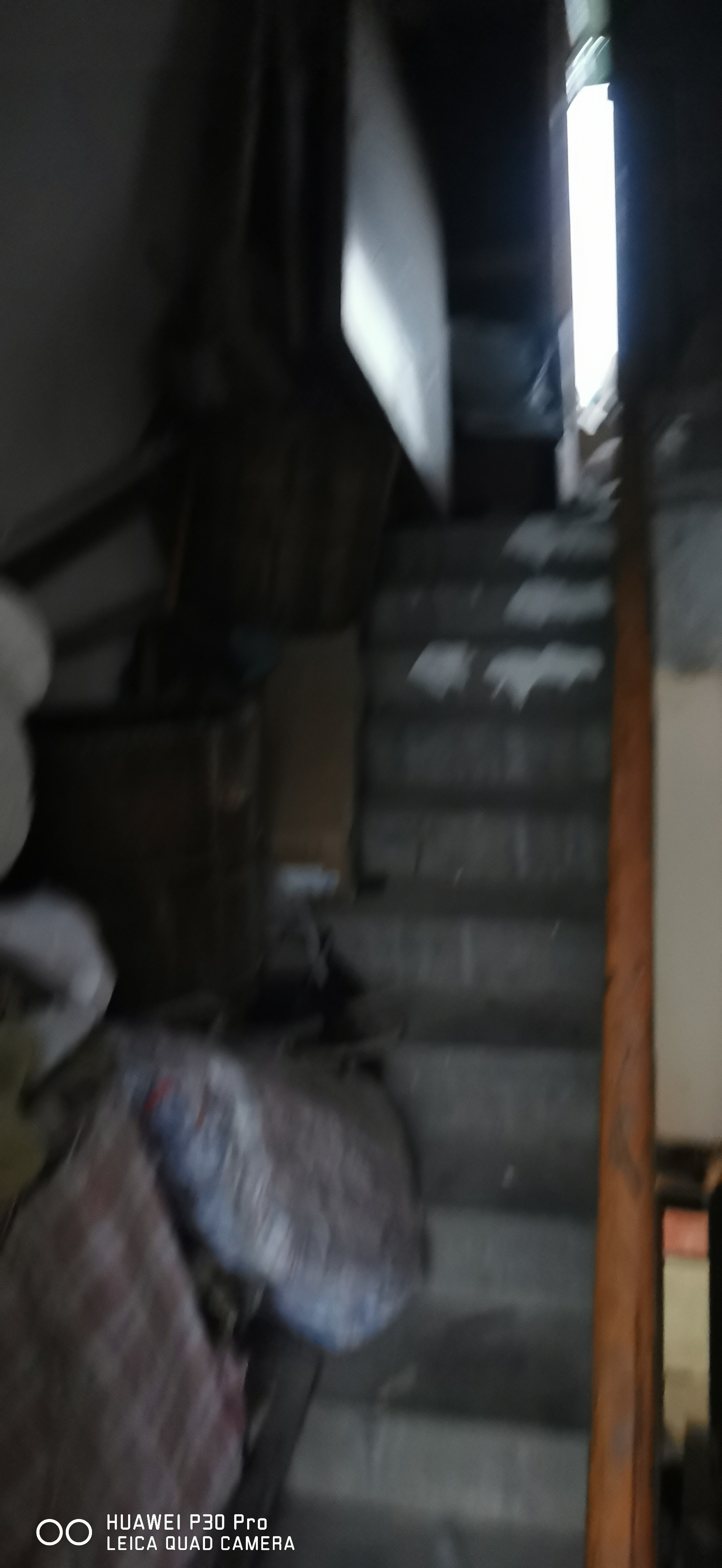 front2_0_FjULVH3jmp8rE4BoKM34oPqWrkxZ.1631011277.jpg