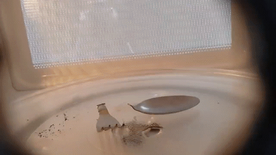 3.gif