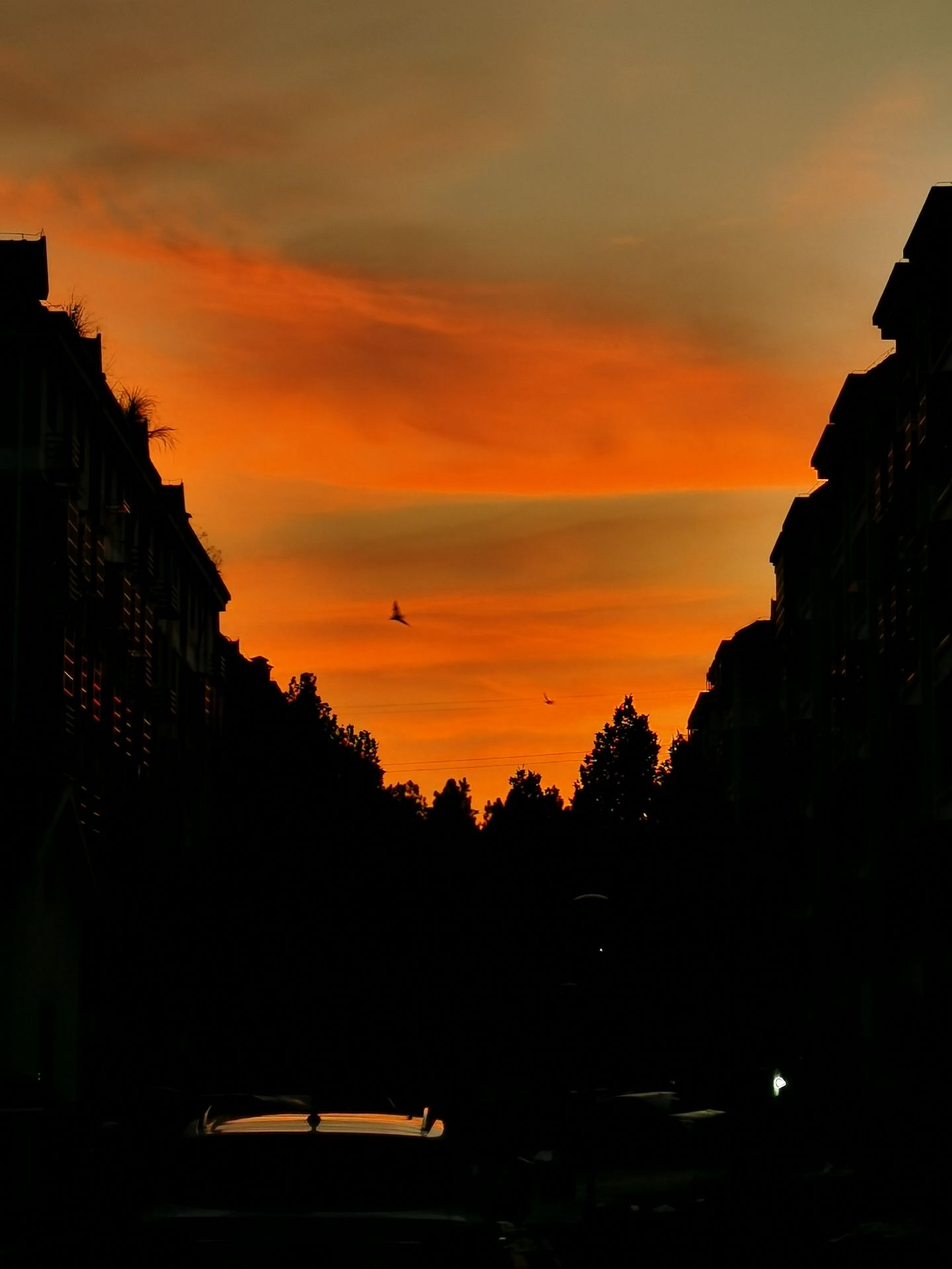front2_0_Fnd8IRkj8PbzZM8duKcpUdICT1Pb.1632629793.jpg