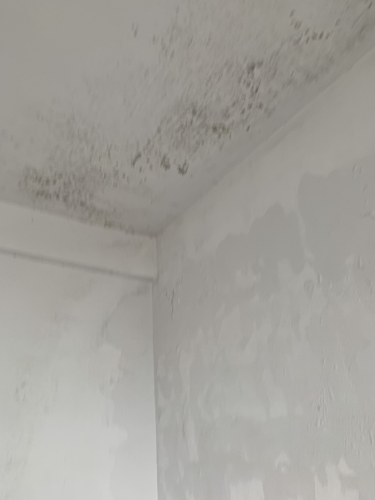 front1_0_FtvNZiMuJGrDKf3zPnzmCqIOopR_.1632953501_06_11_42.jpg
