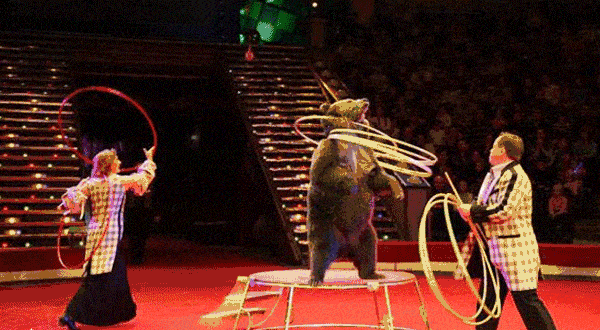 微信图片_20211001125748.gif
