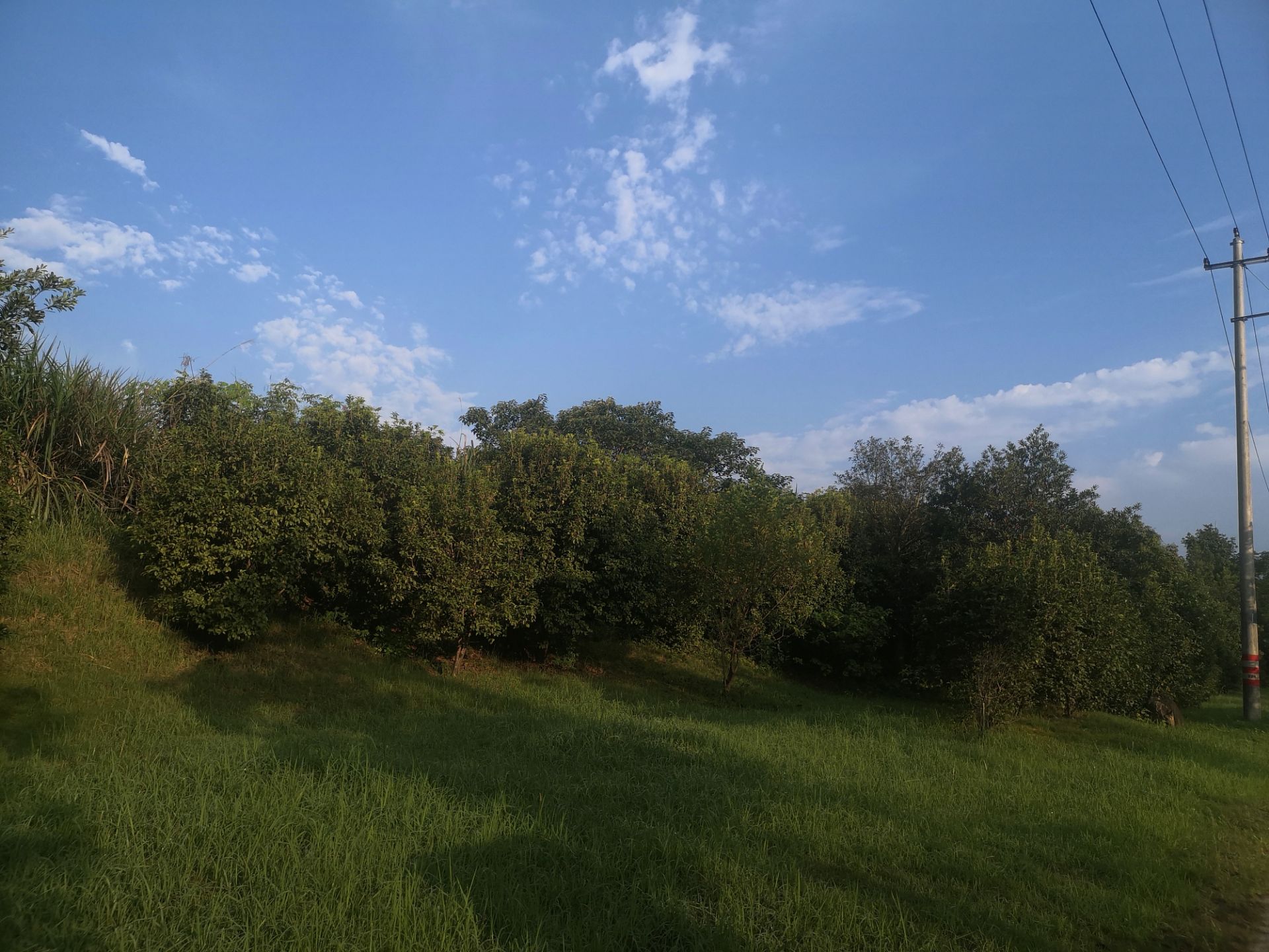 front2_0_FnsanADMv62IL3MmhOTe0DiknGmM.1633475692_07_14_58.jpg