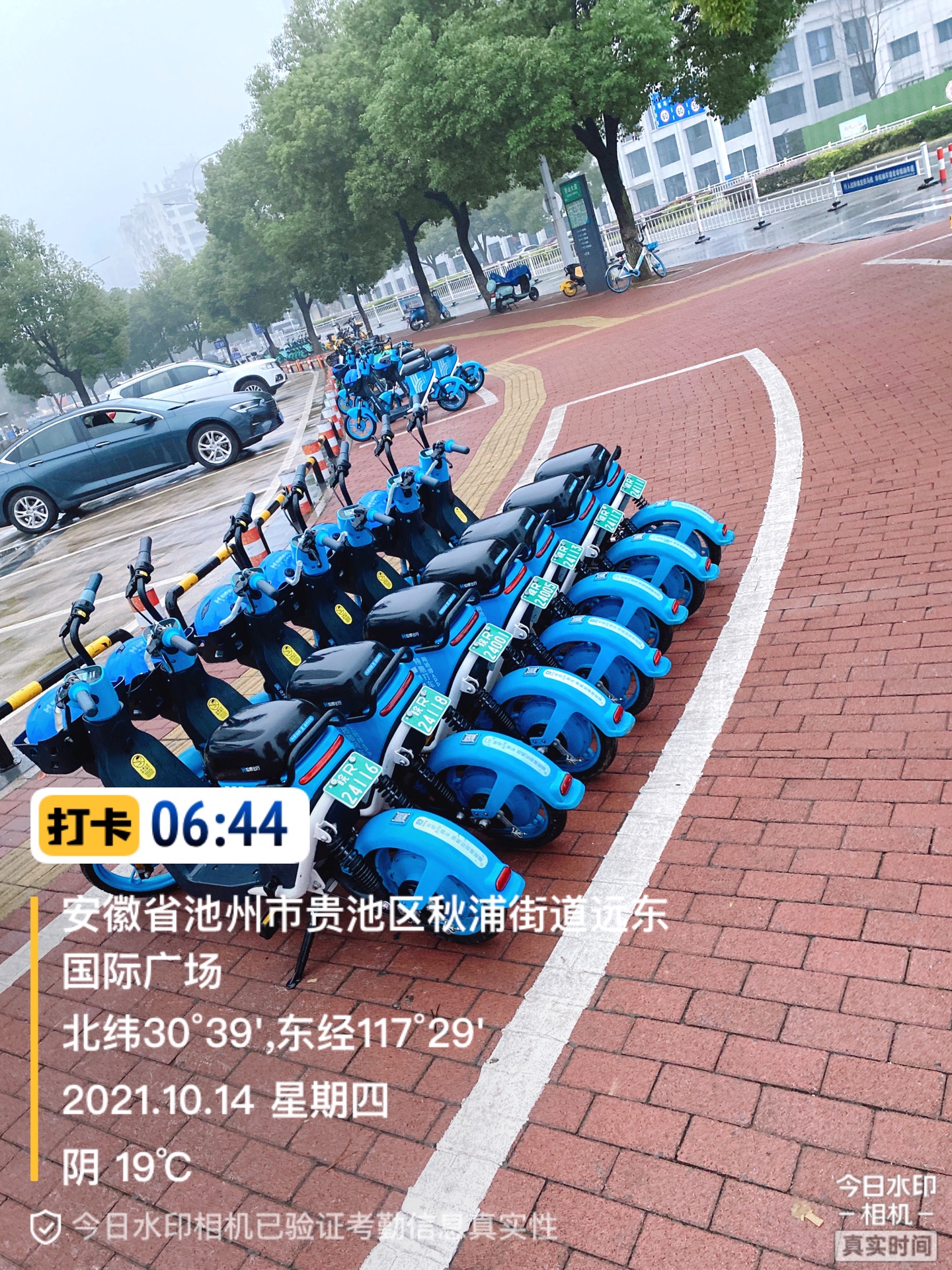 front1_0_334125_Fq935nVQLj1fsBSJzziV4B_K1cL8.1634265212_10_33_33.jpg