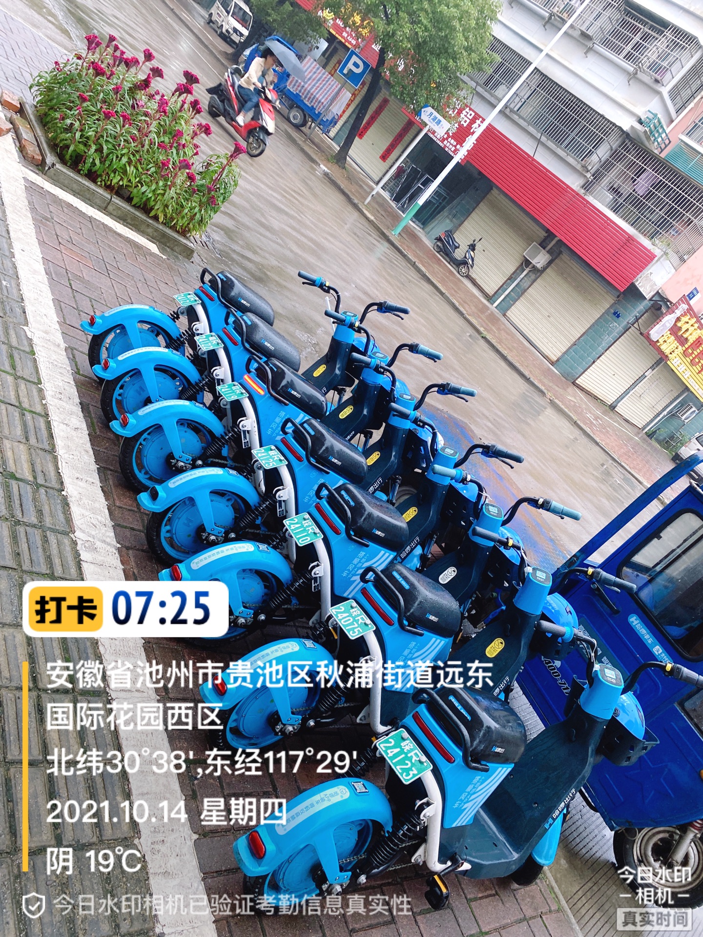 front1_0_334125_FiP0cZkrCbkTYzWDiLCZpwhdWXvh.1634265212_10_33_33.jpg