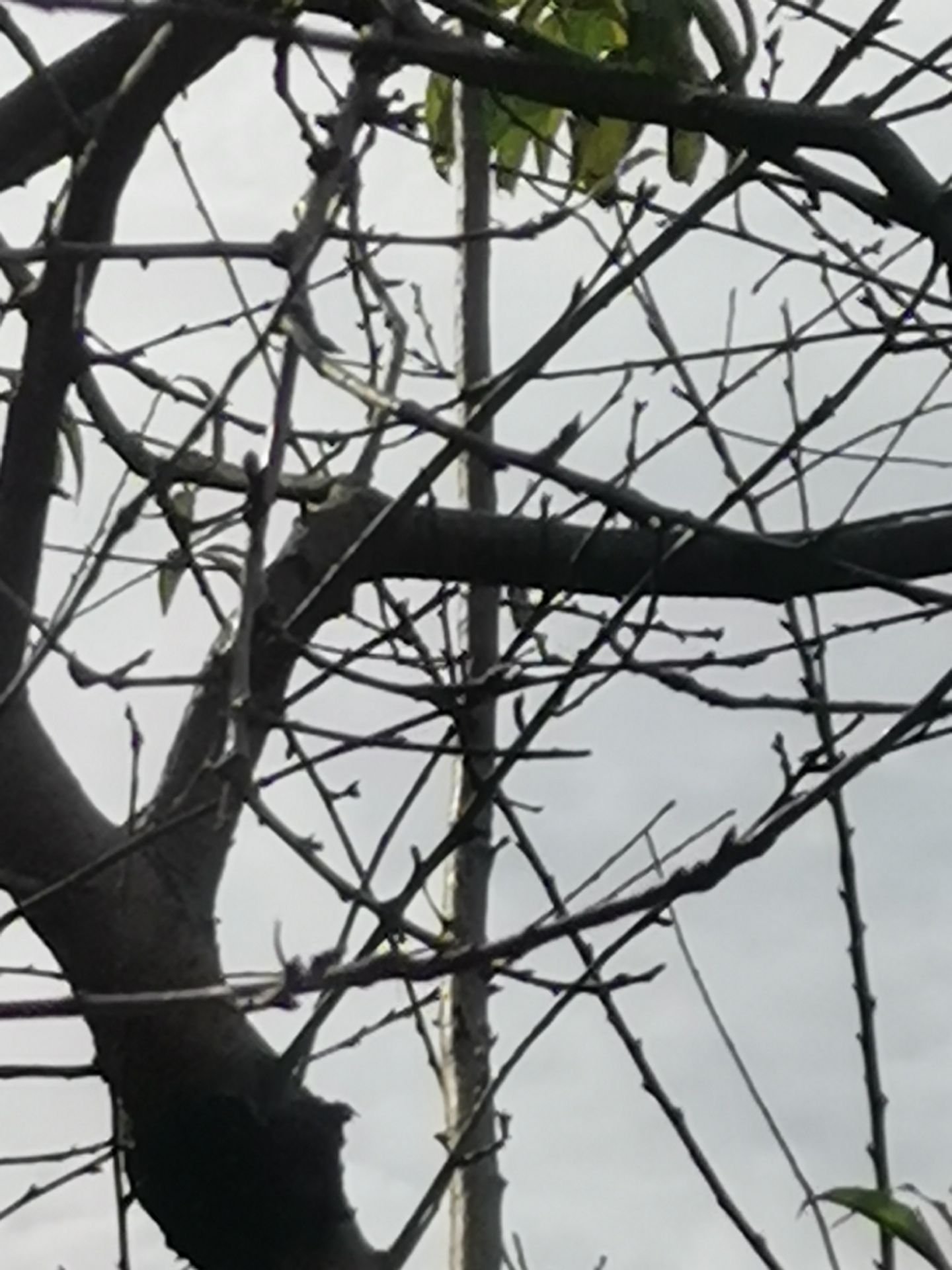 front2_0_222786_FpRPX5ONrT4B-9YiXAbsuXVD6YPj.1634608499_09_55_00.jpg