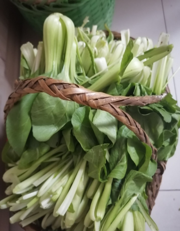 微信截图_20211105092643.png