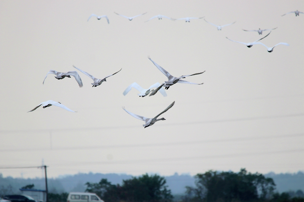 IMG_6172_副本.jpg