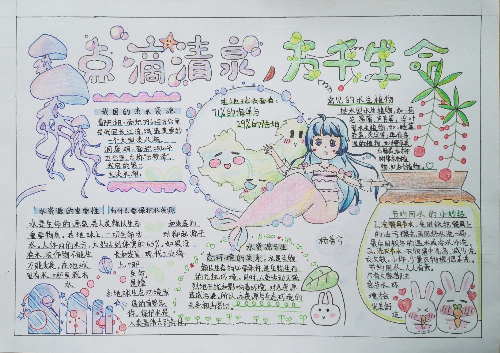1000  杨善兮.jpg