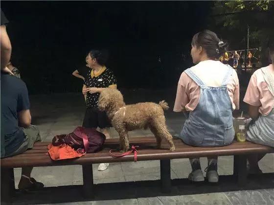 微信图片_20211201155427.jpg