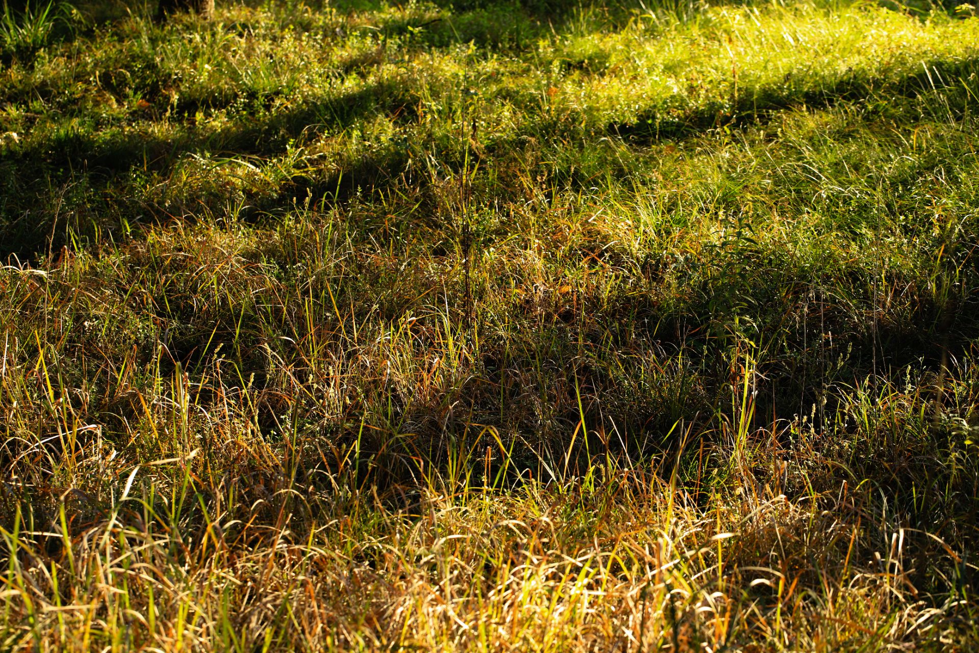 front2_0_27608_Fr0RqkBCl0xxQoQIBVLgjCX_YzLr.1638450135_21_02_17.jpg