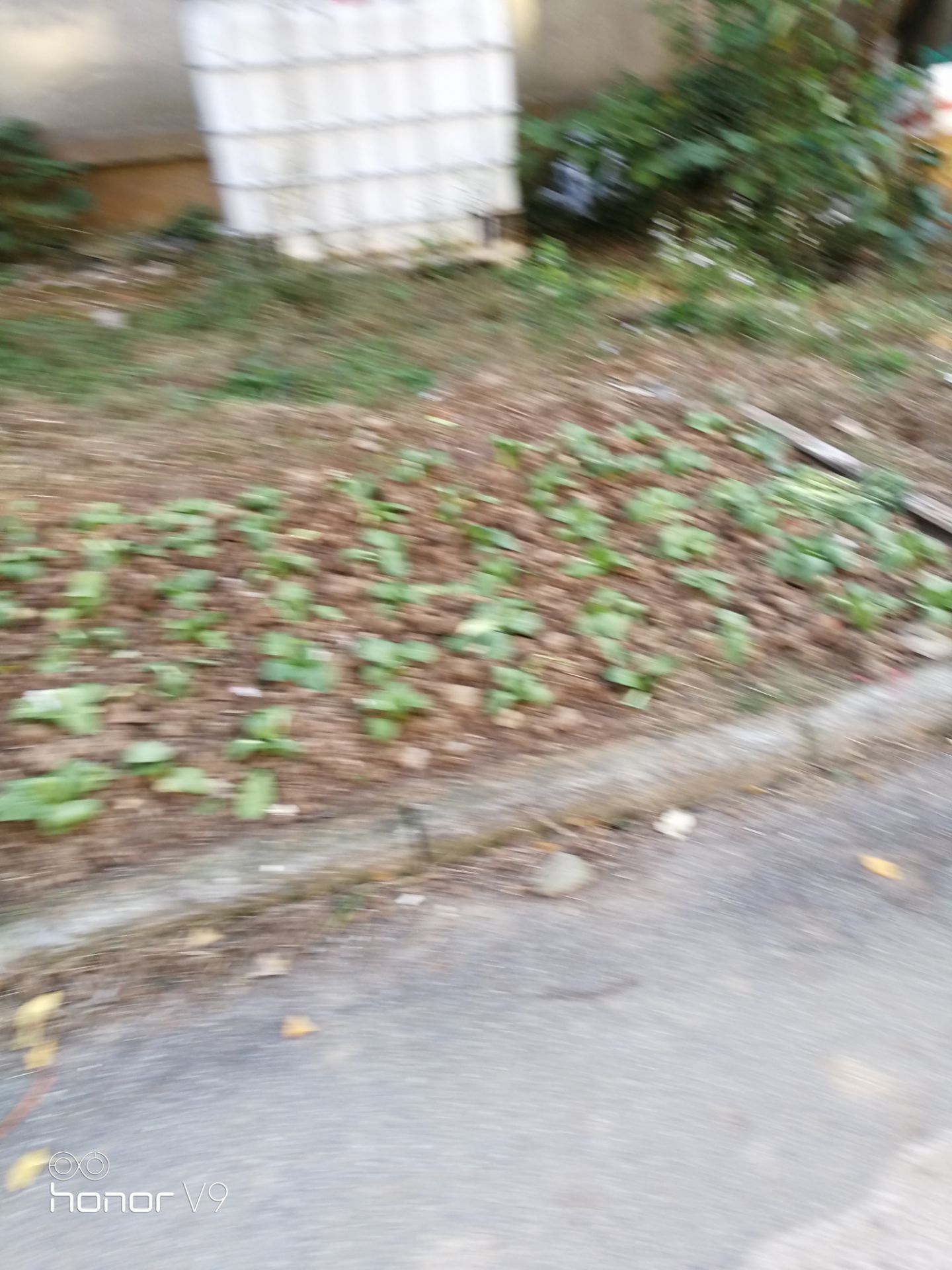 20211223165949front2_0_330393_FvbMTZnDjE9QWhSCfYwNbiys1TYt.jpg