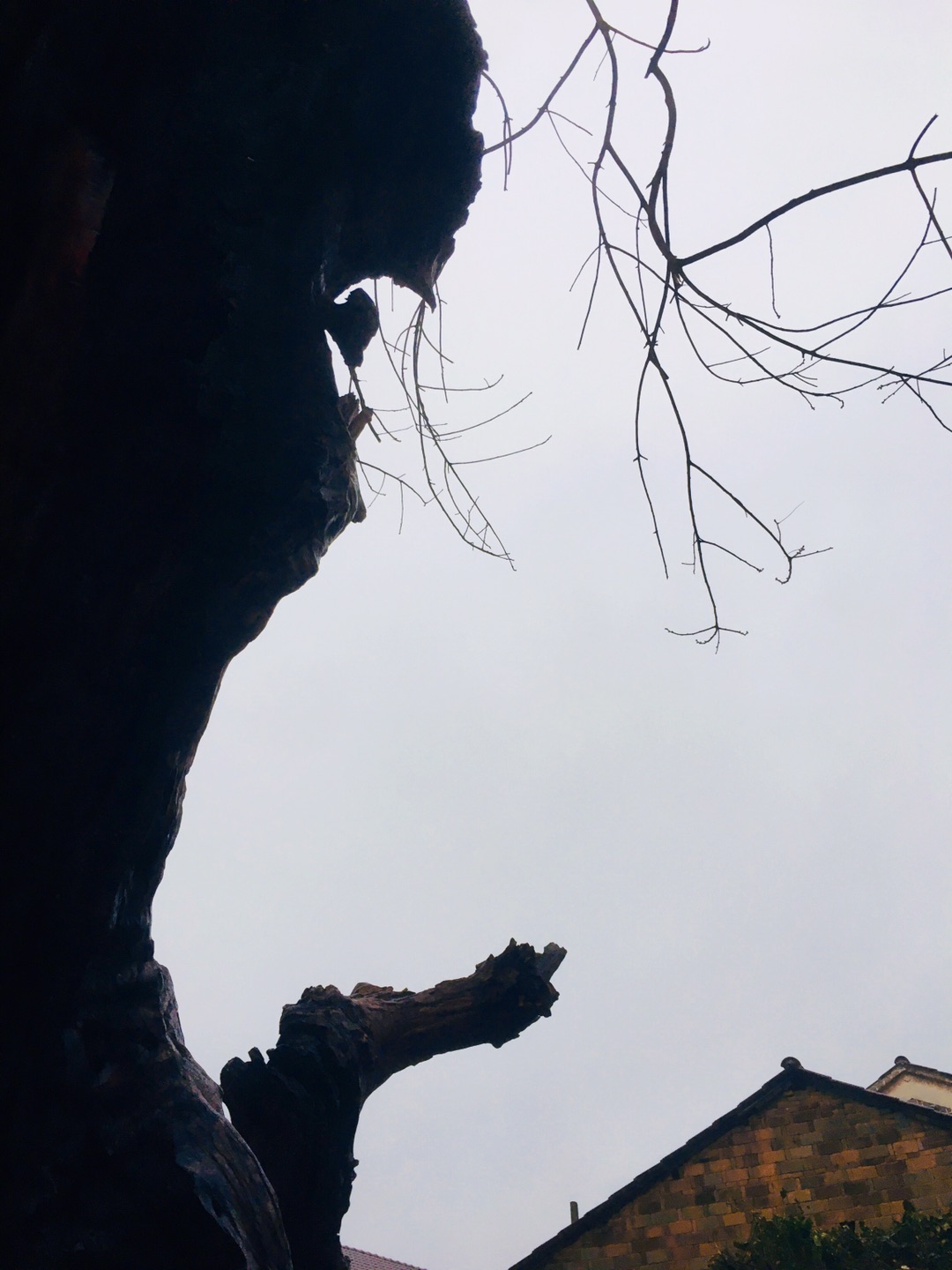 20211224193239front1_0_348150_Fjs04aBOgUPkIcOvlW5WvtnmzLZB.jpg