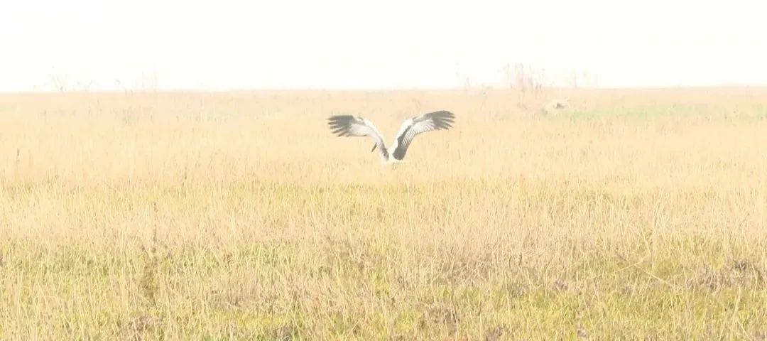 20220113103435front2_0_362728_FoPDPQqOLimCHsvz3FlVf9Bgq376.jpg