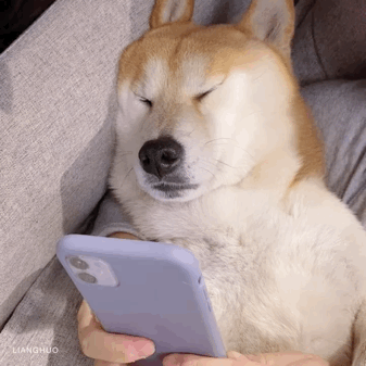 20220115084605front2_0_330168_FhGvA2DvZfyCZwmHCFsvbd--IPmU.gif