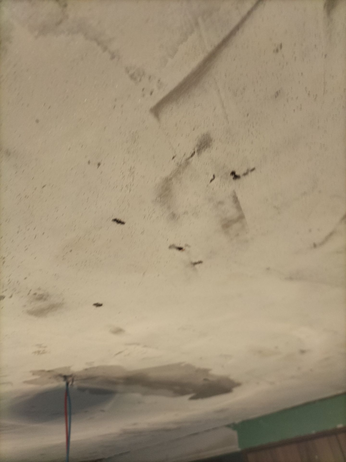 20220123095551front2_0_302107_FomgjwRYFcPdC591JBj-pURAMhL5.jpg