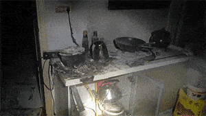 微信图片_20220215172759.gif
