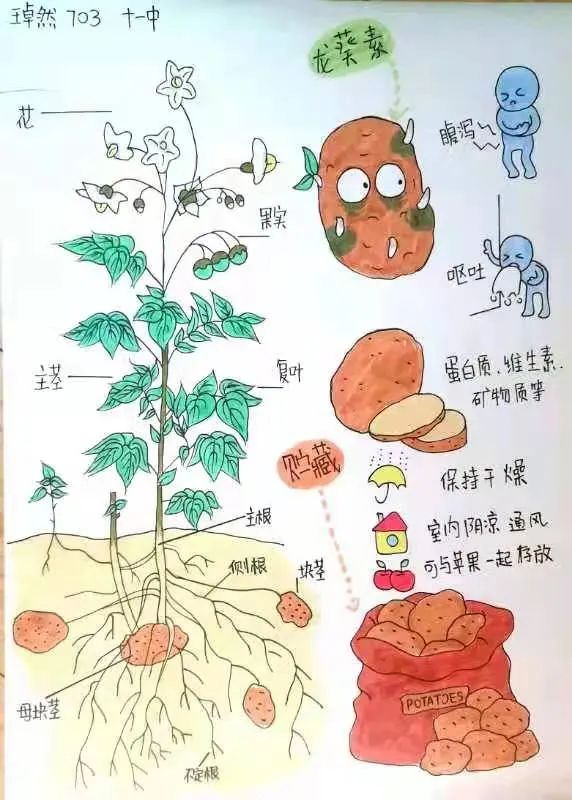 微信图片_20220217095301.jpg