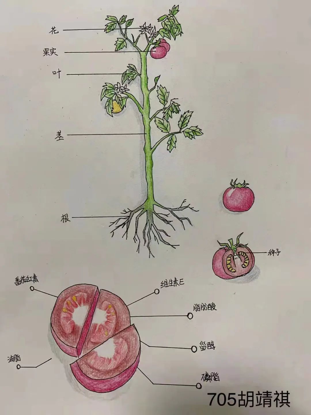 微信图片_20220217095320.jpg