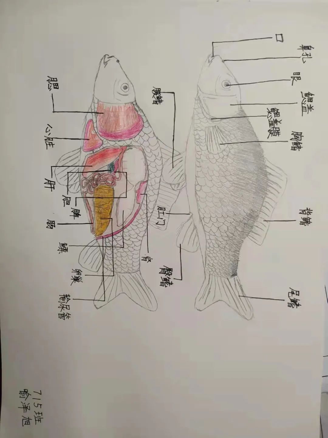 微信图片_20220217095535.jpg