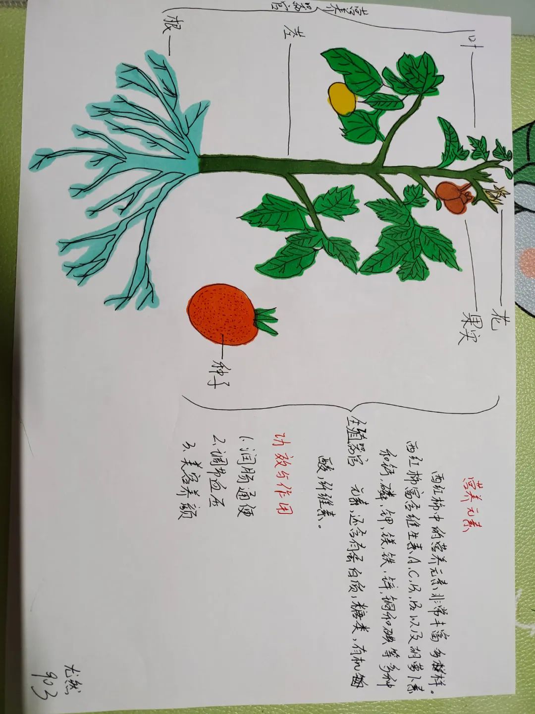 微信图片_20220217095514.jpg