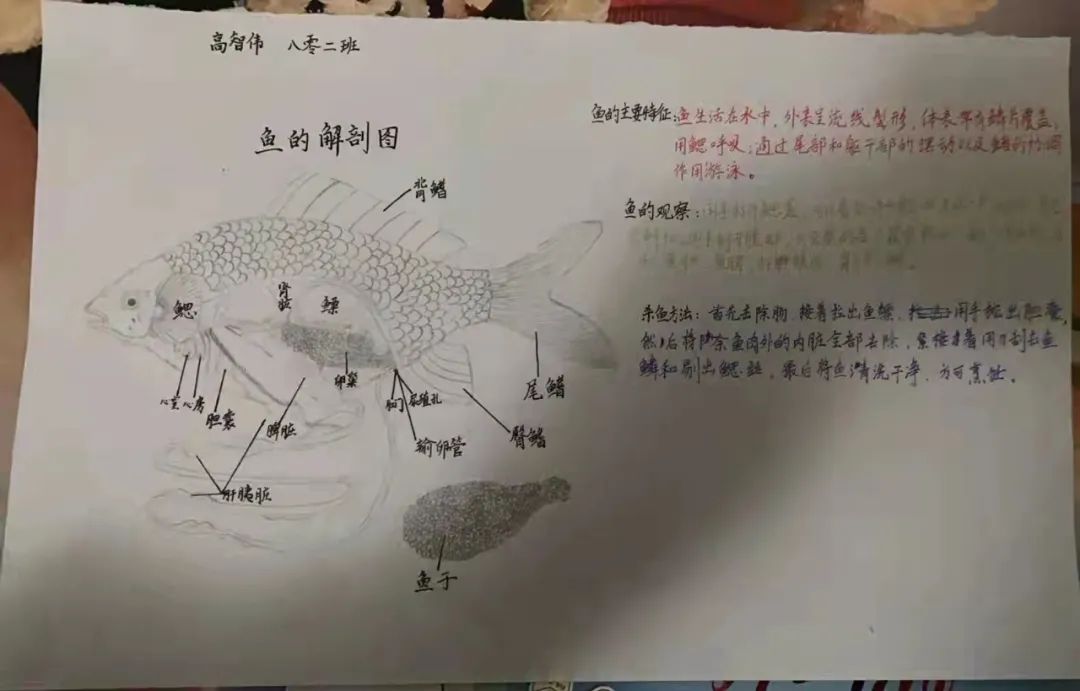 微信图片_20220217095559.jpg