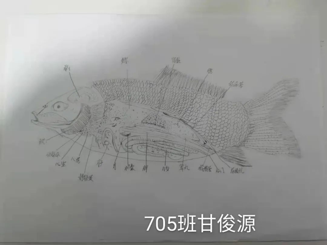微信图片_20220217095540.jpg